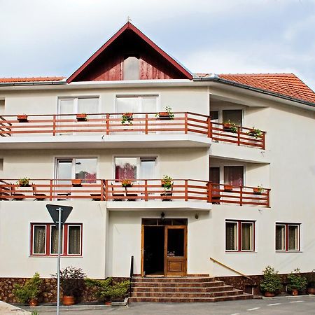 فندق Geoagiu Băiفي  Vila Mihu المظهر الخارجي الصورة
